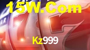 Premium Interface Kz999